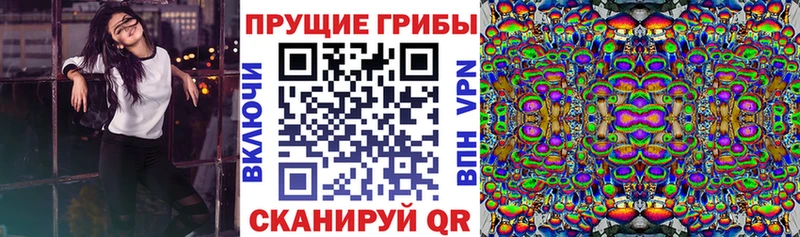 Галлюциногенные грибы ЛСД Сыктывкар