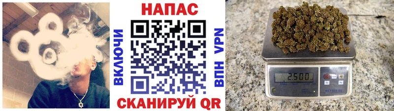 мориарти какой сайт Сыктывкар Шишки марихуана марихуана где купить наркоту